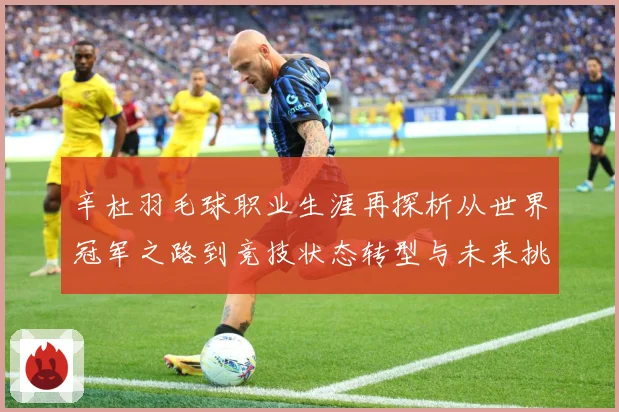 辛杜羽毛球职业生涯再探析从世界冠军之路到竞技状态转型与未来挑战-深度解析