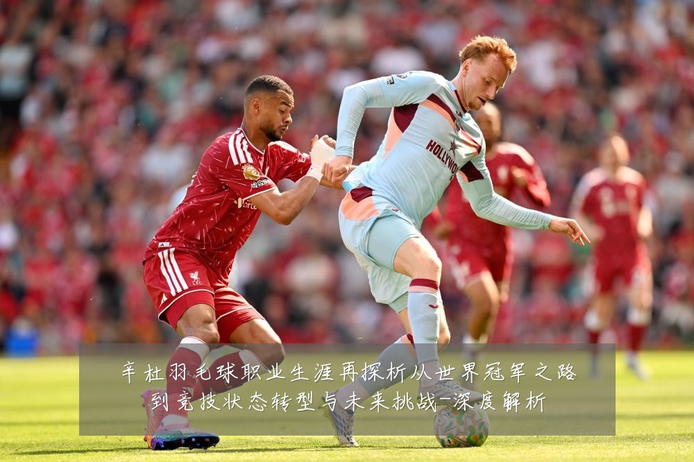 辛杜羽毛球职业生涯再探析从世界冠军之路到竞技状态转型与未来挑战-深度解析